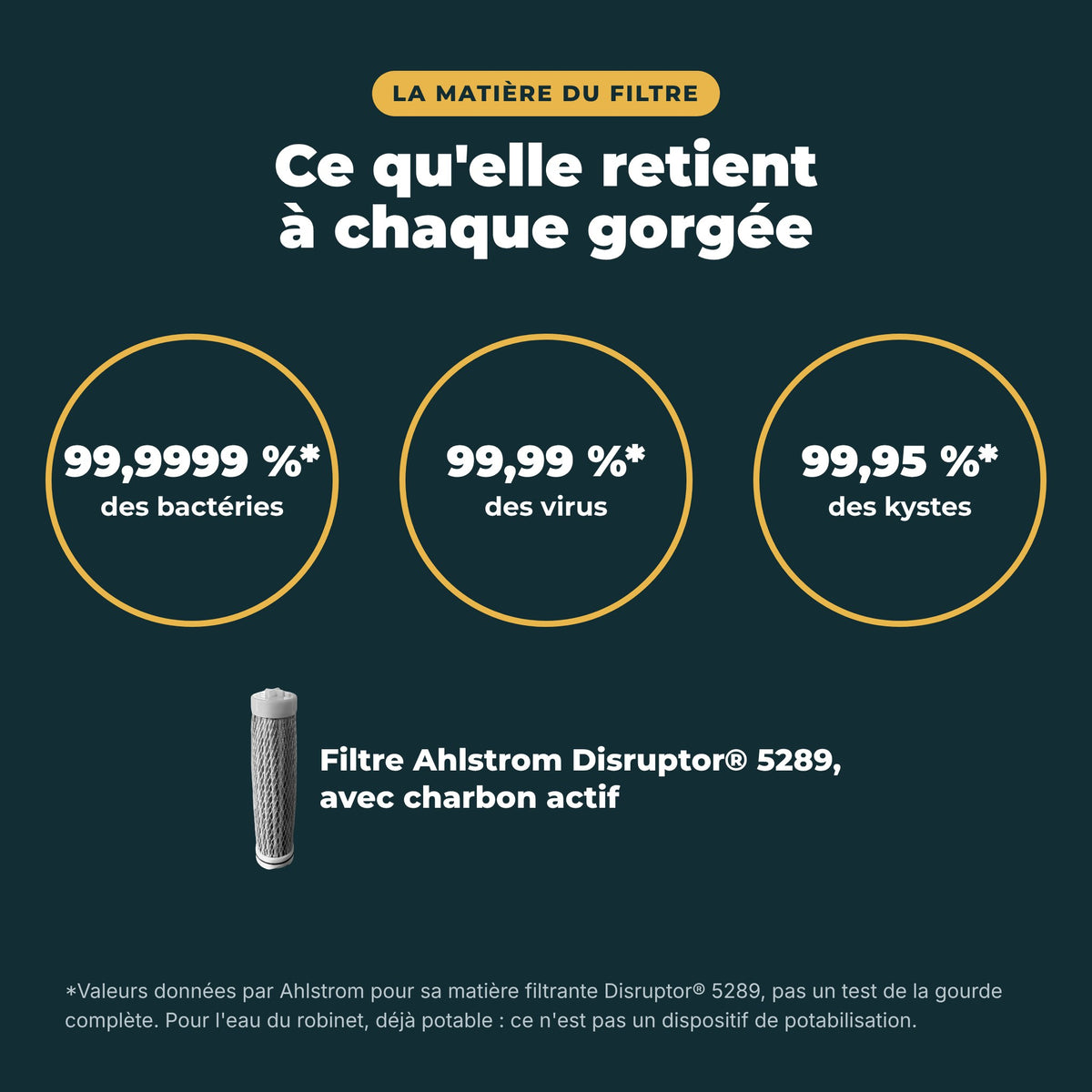 Matière filtrante Ahlstrom Disruptor 5289 : ce qu'elle retient selon son fabricant